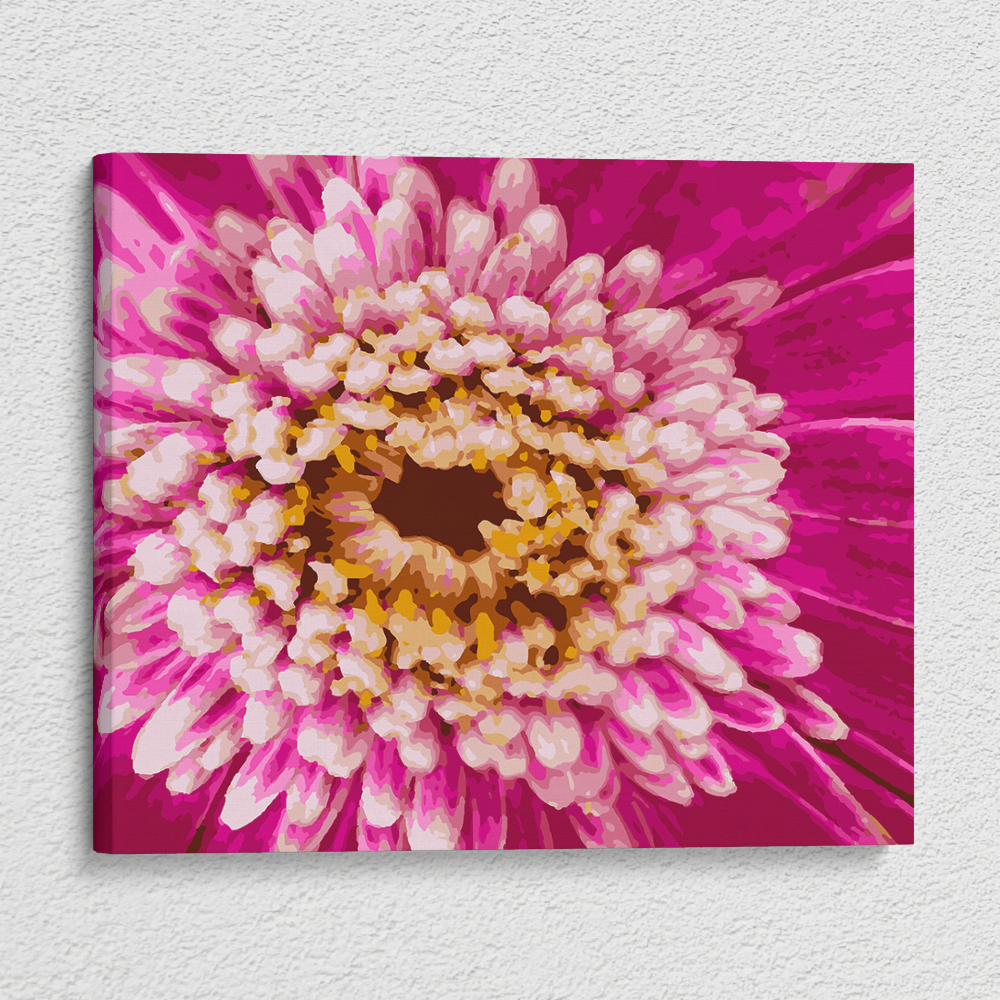 Pink Flower - Paint By Numbers Kit