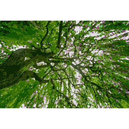 Tree Canopy - Paint By Numbers Kit