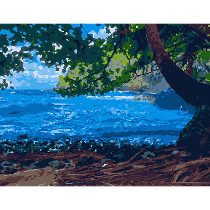 Hawaiian Cove - Paint By Numbers Kit