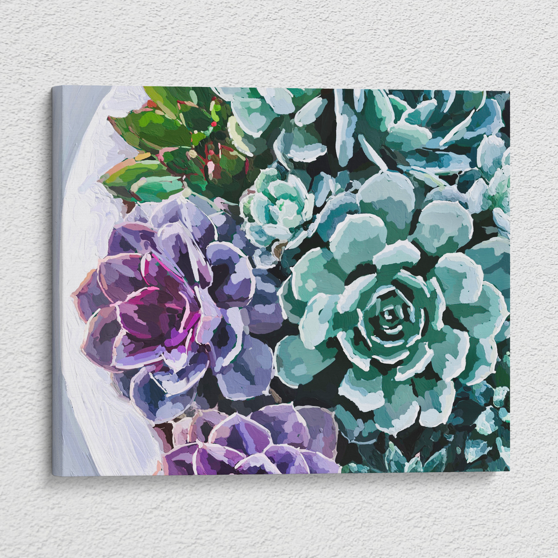 Painted Succulents - Paint By Numbers Kit