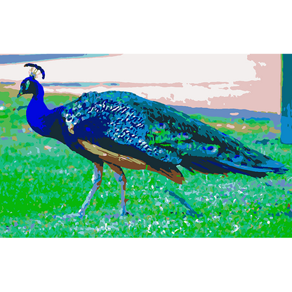 easy paintings of peacock