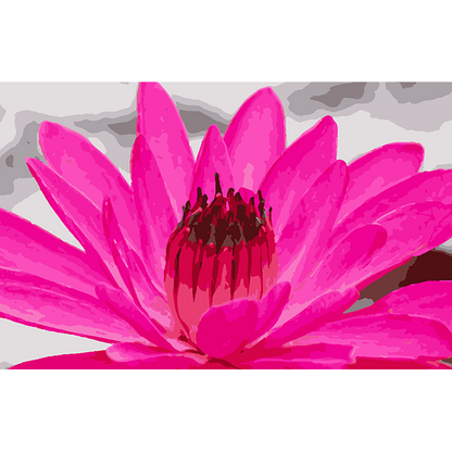 Pink Lilly Flower - Paint By Numbers Kit