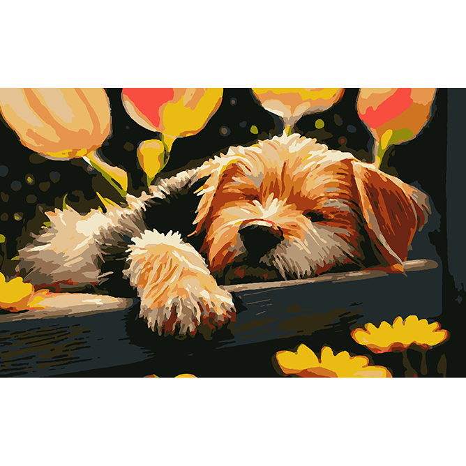 Doggo Dreams Paint by Numbers Kit