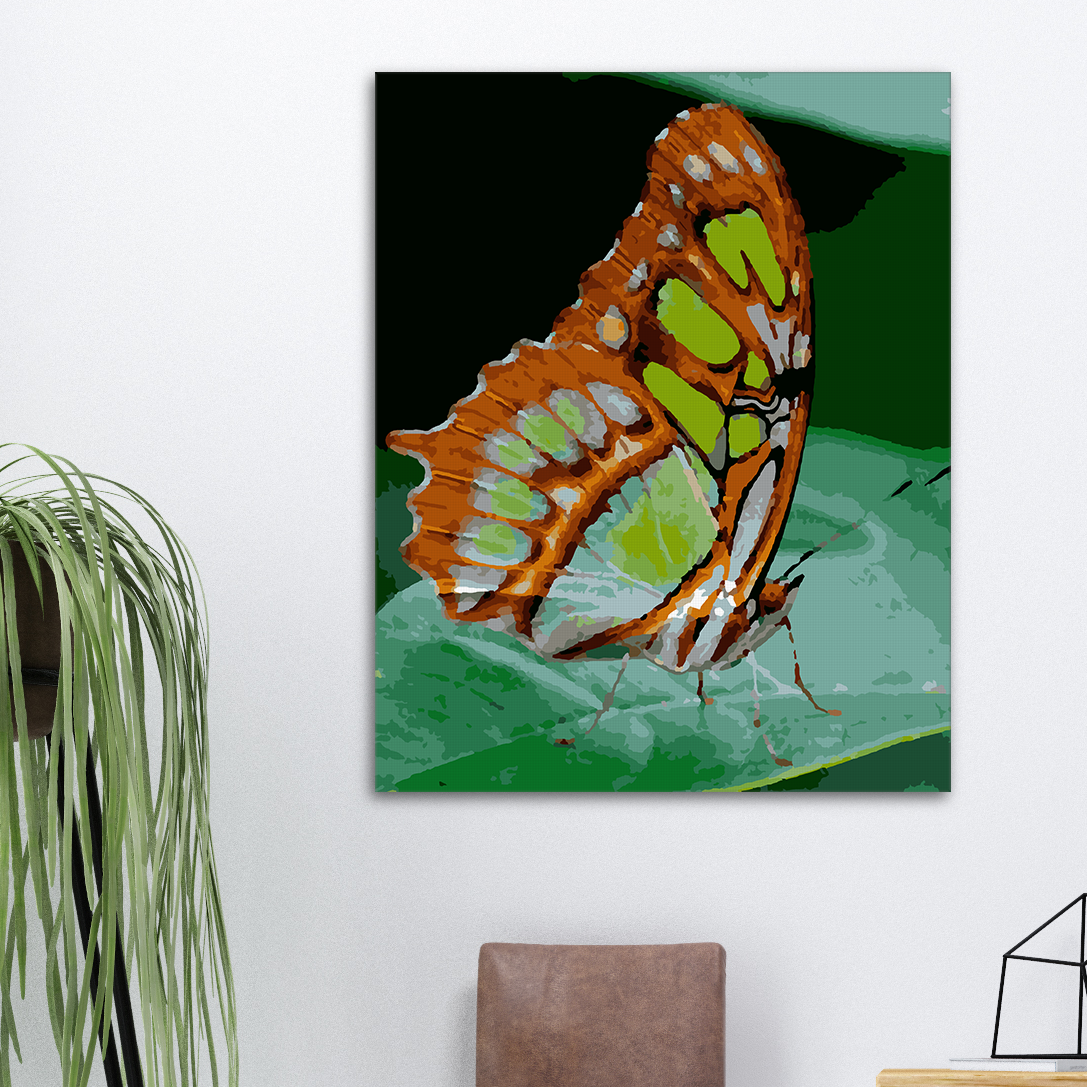 Butterfly on a Leaf - Paint By Numbers Kit